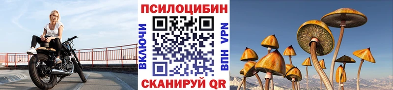 Галлюциногенные грибы Psilocybe Лахденпохья